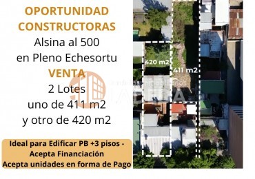 2 lotes Alsina al 500
